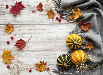 Autumn maple leaves, pumpkins and woolen scarf on a wooden background.