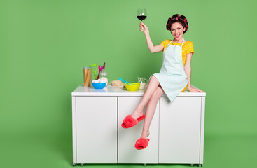 Full size photo of charming lady sit table kitchen curlers hair housewife good mood drink red wine alcohol rest time wear pinup dotted dress apron slippers isolated green color background