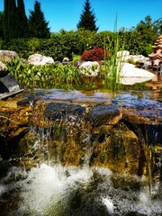 waterfall in the forest