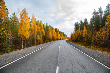 Asphalt road in the autumn forest. Travels.