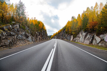 Fototapeta premium Autumn forest. The road to the mountains.
