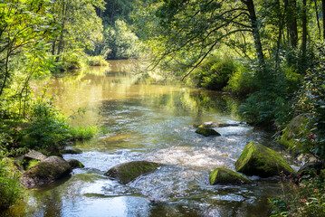 small rapids on a stream in summer