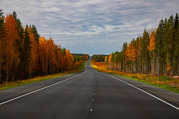 Fototapeta premium Asphalt road in the autumn forest. Travels.