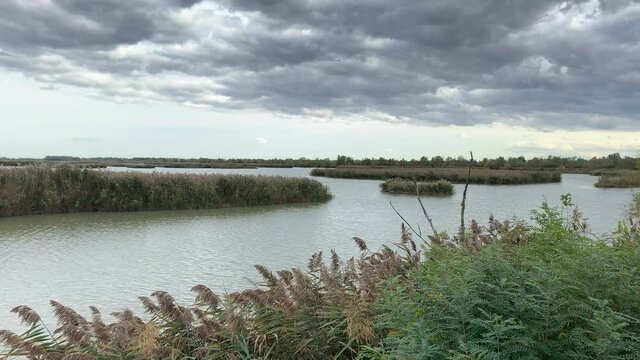 Wetlands in the natural reserve of Argenta, Italy near the Po river Comacchio Valleys under a moody autumal sky