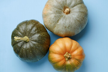 Small pumpkins on blue pastel background top view