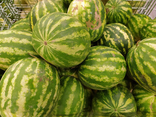 Watermelon. A large pile of green striped watermelons, a market bench for a watermelon merchant. Berry. Business. Background. Texture. View from above. Photo from mobile phone