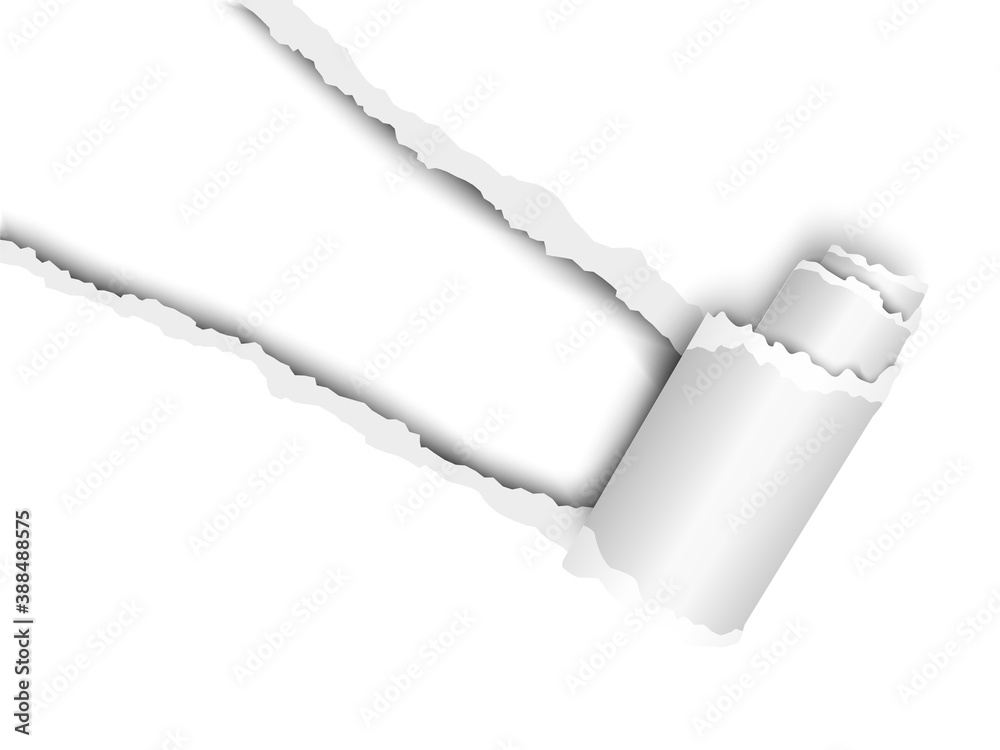 Wall mural torn, snatched window placed diagonally from upper left corner in white paper with paper curl. white