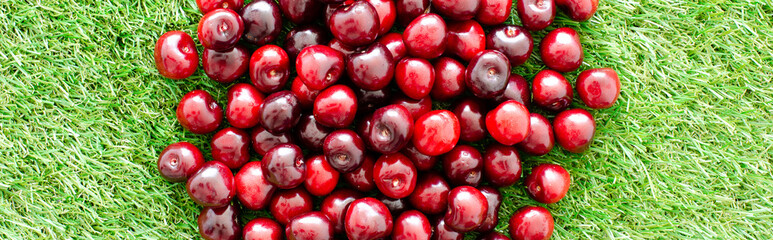 red fresh cherries on green grass, close view