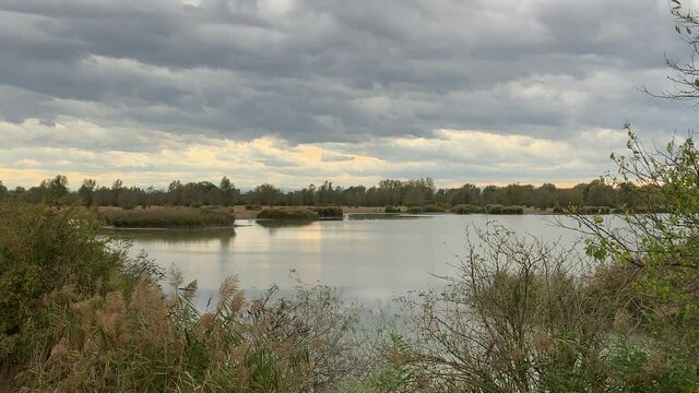 Wetlands in the natural reserve of Argenta, Italy near the Po river Comacchio Valleys under a moody autumal sky