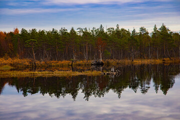 Obraz premium Autumn forest and sky reflected in water. Colorful autumn landscape.