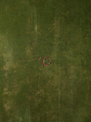 Aerial view of kids football team in red uniform lying on green stadium in a circle with trainer in the center and balls.