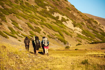 Obraz premium Group of young hikers trekking in mountains. Two women two men backpacking in summer near Sary Chelek lake, Sary-Chelek Jalal Abad region, Kyrgyzstan, Trekking in Central Asia.