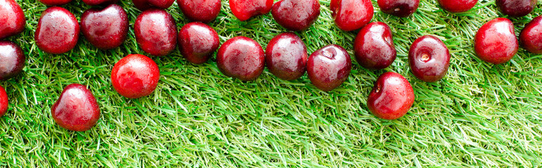red fresh cherries on green grass, close view