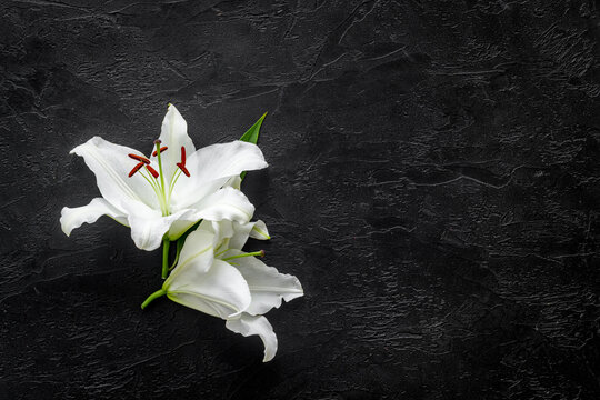 Condolence Card With White Flowers Lily, From Above