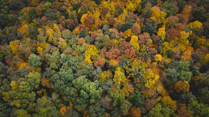 Fototapeta na wymiar Die Farben des Herbstes 
