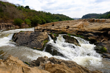 waterfall in the forest