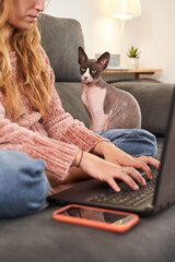 Close-up of a woman's hands writing on the laptop, sitting on the sofa with her cat.