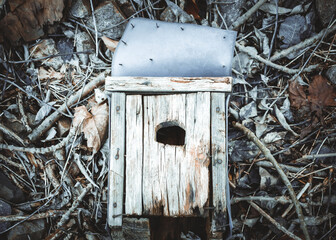 An old bird house in nature