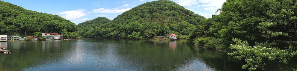 Fototapeta na wymiar 新緑映える円良田湖(埼玉県)(パノラマ1)