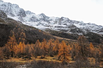 Autumn in the Lötsch valley.