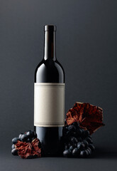 Bottle of red wine and blue grapes with dried up vine leaves on a dark background.