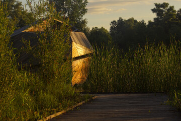 enklawa przyrody bobrowisko, poranek © Robert Borek
