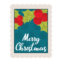 merry christmas holly berry and snowflakes background decoration stamp icon