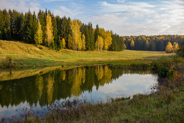 A picturesque autumn landscape with a view of the reservoir and the forest. Golden autumn in the wild

