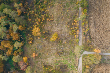 Green field and autumn forest aerial view