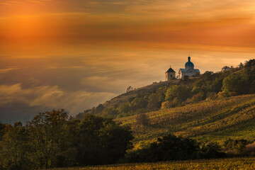 Vineyards in South Moravia near Mikulov in the Czech Republic. In the background is the Holy Hill and the sky at the setting sun.