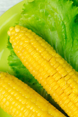 Corn on the cob on a green plate