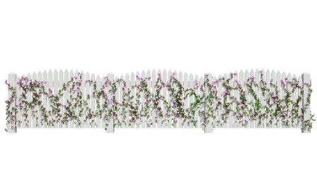 Obraz na płótnie Canvas 3d Render Ivy Plants Isolated on white