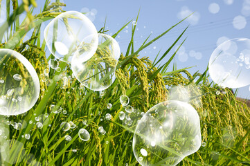 ネイチャーイメージ