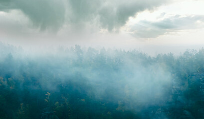 Obraz premium Nebel im Wald in der Sächsischen Schweiz