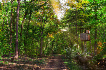 hunting stand near a forest