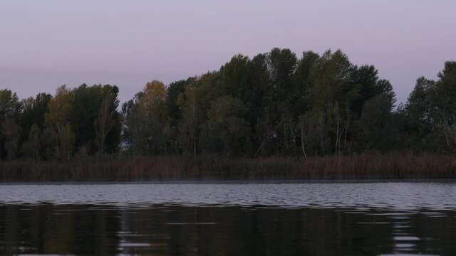 River and autumn forest. Beautiful fall landscape near river of the  blue time before sunrise