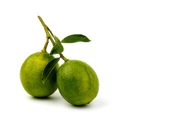 fresh green lime (Citrus aurantifolia Swingle) with  leaves  isolated on white background