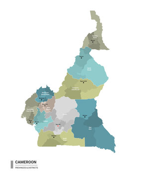 Cameroon higt detailed map with subdivisions. Administrative map of Cameroon with districts and cities name, colored by states and administrative districts. Vector illustration with editable and label