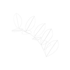 SINGLE-LINE DRAWING: Branch,Leaves Botanical 16. This hand-drawn, continuous, line illustration is part of a collection inspired by the drawings of Picasso. Each gesture sketch was created by hand.