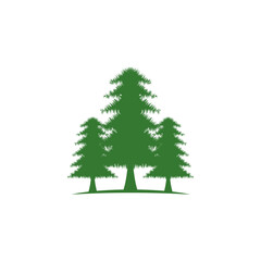 Cedar tree vector icon illustration design template