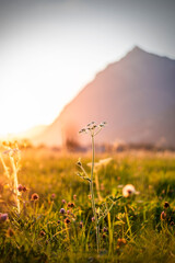 Beautiful landscape in the mountain