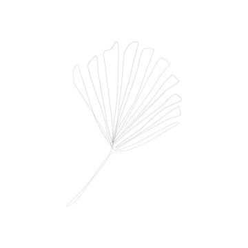 recommend clip art: SINGLE-LINE DRAWING: Tropical Palm Leaf, bot.18. This hand-drawn, continuous, line illustration is part of a collection inspired by the drawings of Picasso. Each gesture sketch was created by hand.
                    