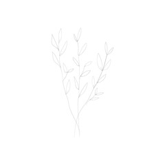 SINGLE-LINE DRAWING:3 Branches, Leaves Botanical 20.This hand-drawn, continuous, line illustration is part of a collection inspired by the drawings of Picasso. Each gesture sketch was created by hand.