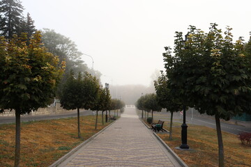 silent in a morning park