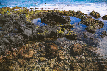 Fototapeta na wymiar East Honolulu coastline, Wawamalu Beach Park, Oahu, Hawaii