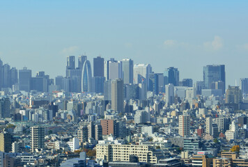 Fototapeta na wymiar 東京の景観