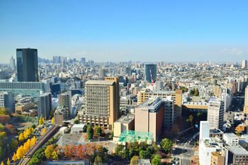 Fototapeta premium 東京の景観