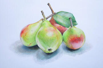 ripe pears on the table, drawing in pencil