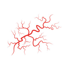 Human veins red blood vessel vector illustration isolated on white background.