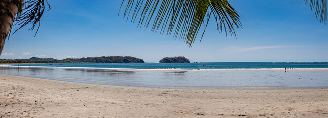 Beautiful flora and fauna of Costa Rica